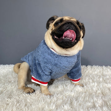 Cozy Cotton Pet Sweater