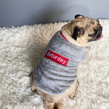 Cozy Cotton Pet Sweater