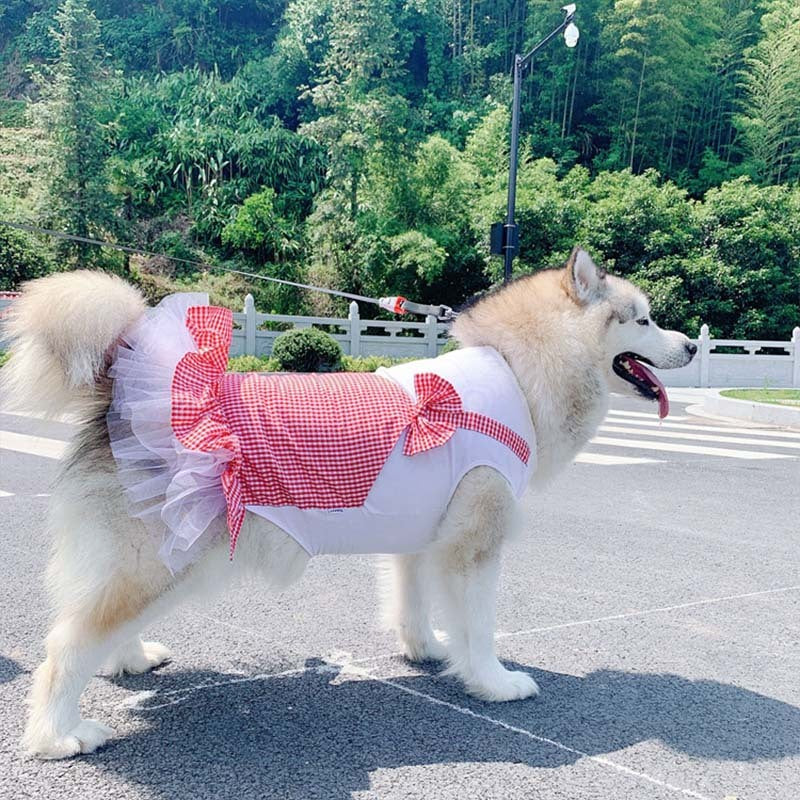 Elegant Princess Dog Dress
