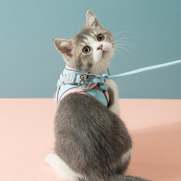 Cat & Small Dog Harness with Traction Rope