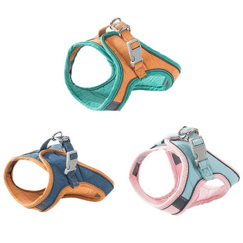 Cat & Small Dog Harness with Traction Rope