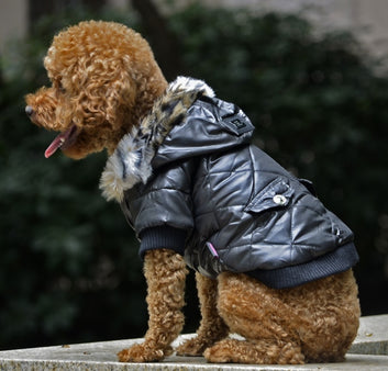Winter Dog Coat with Fur Collar