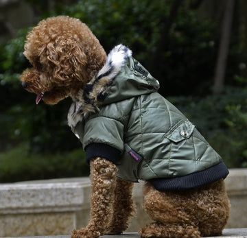 Winter Dog Coat with Fur Collar