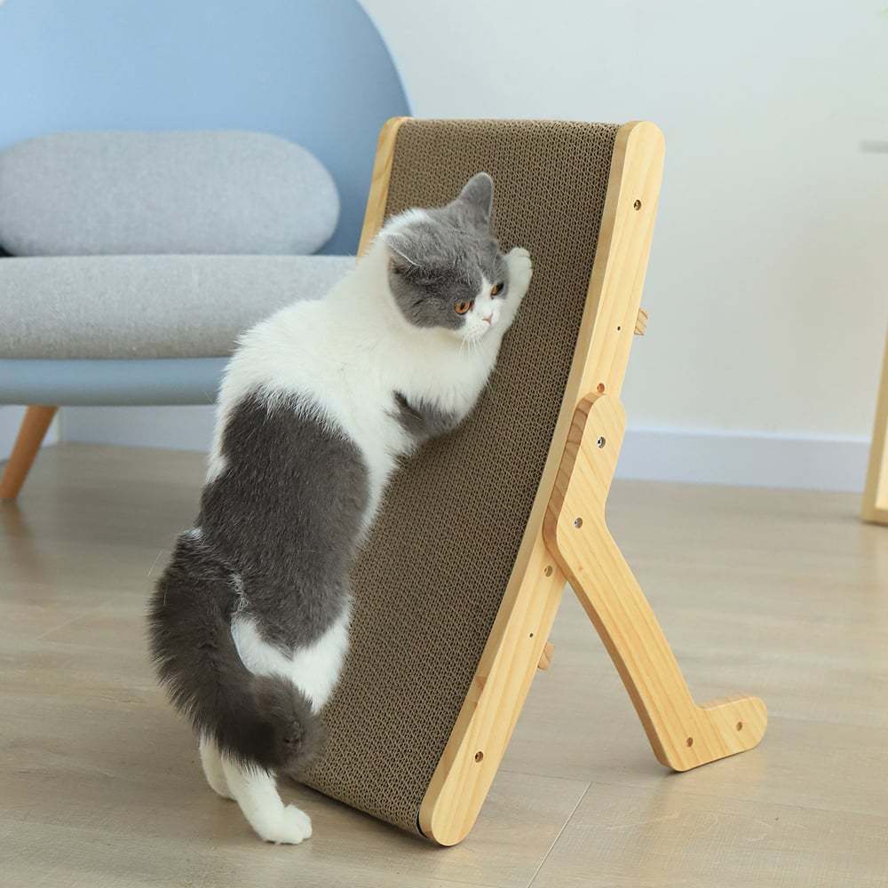 Adjustable Cat Scratcher & Bed
