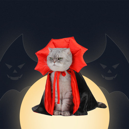 Halloween Pet Cape