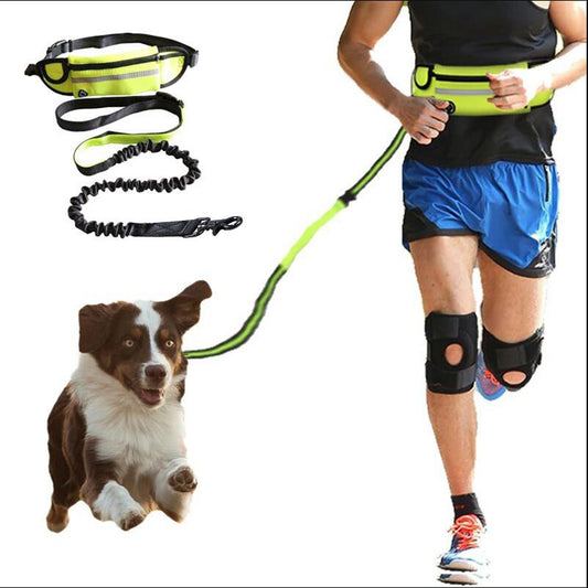 Hands-Free Dog Leash with Waist Belt