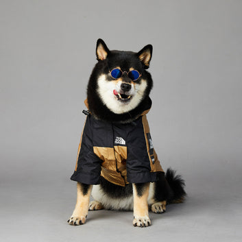 Waterproof Dog Raincoat